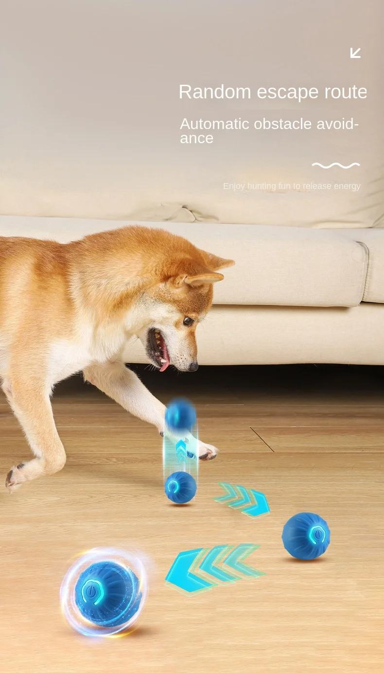 Interactive Dog Ball