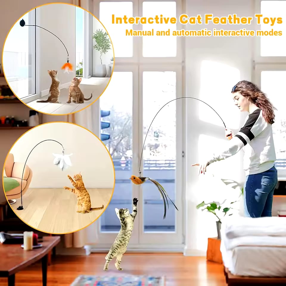 Petcarebaltic ™ Moving Feather Toy