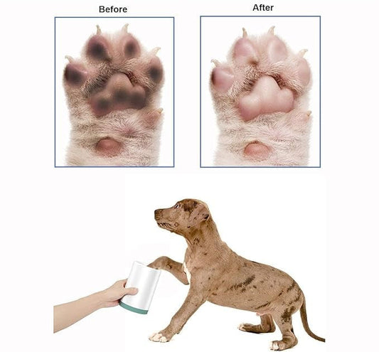 Before and After: See the difference with your own eyes! 🐾