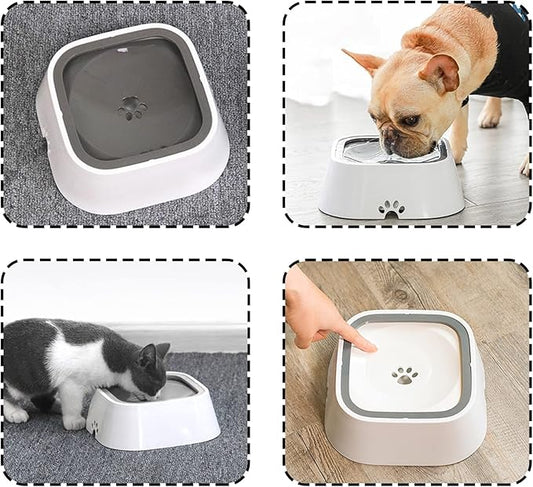 Unmatched Advantages of This Smart Water Bowl
