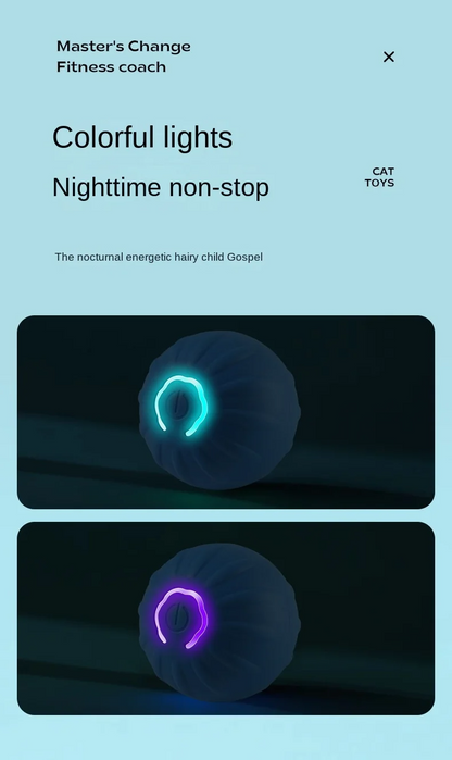 Interactive Dog Ball