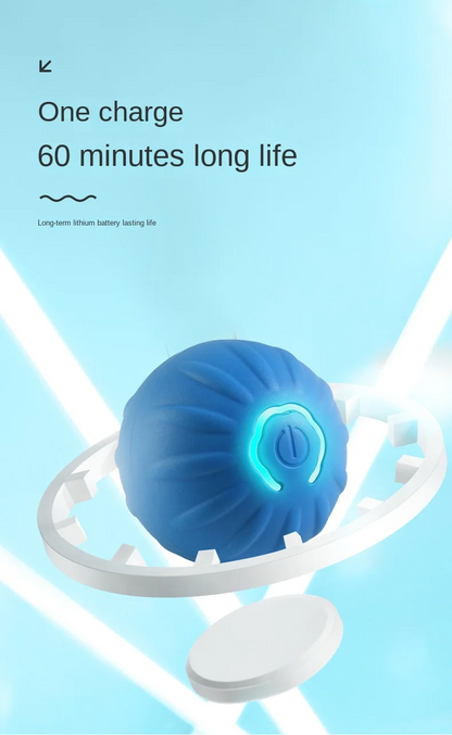 Interactive Dog Ball