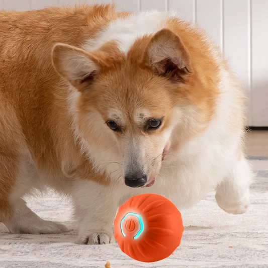 Interactive Dog Ball