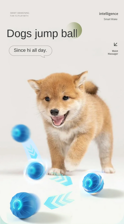 Interactive Dog Ball