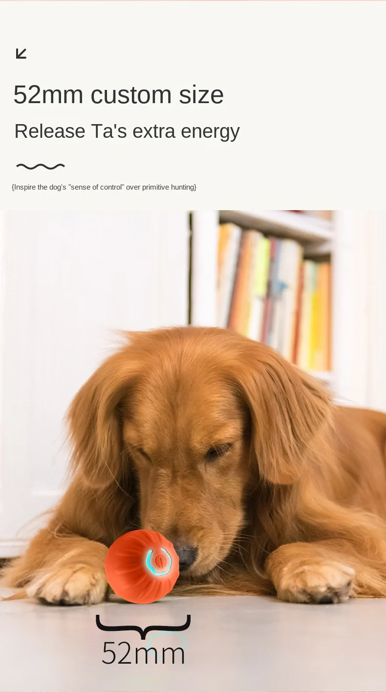 Interactive Dog Ball