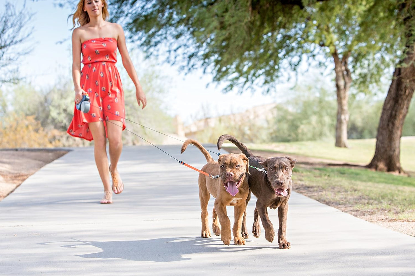 Dual Dog Retractable Leash