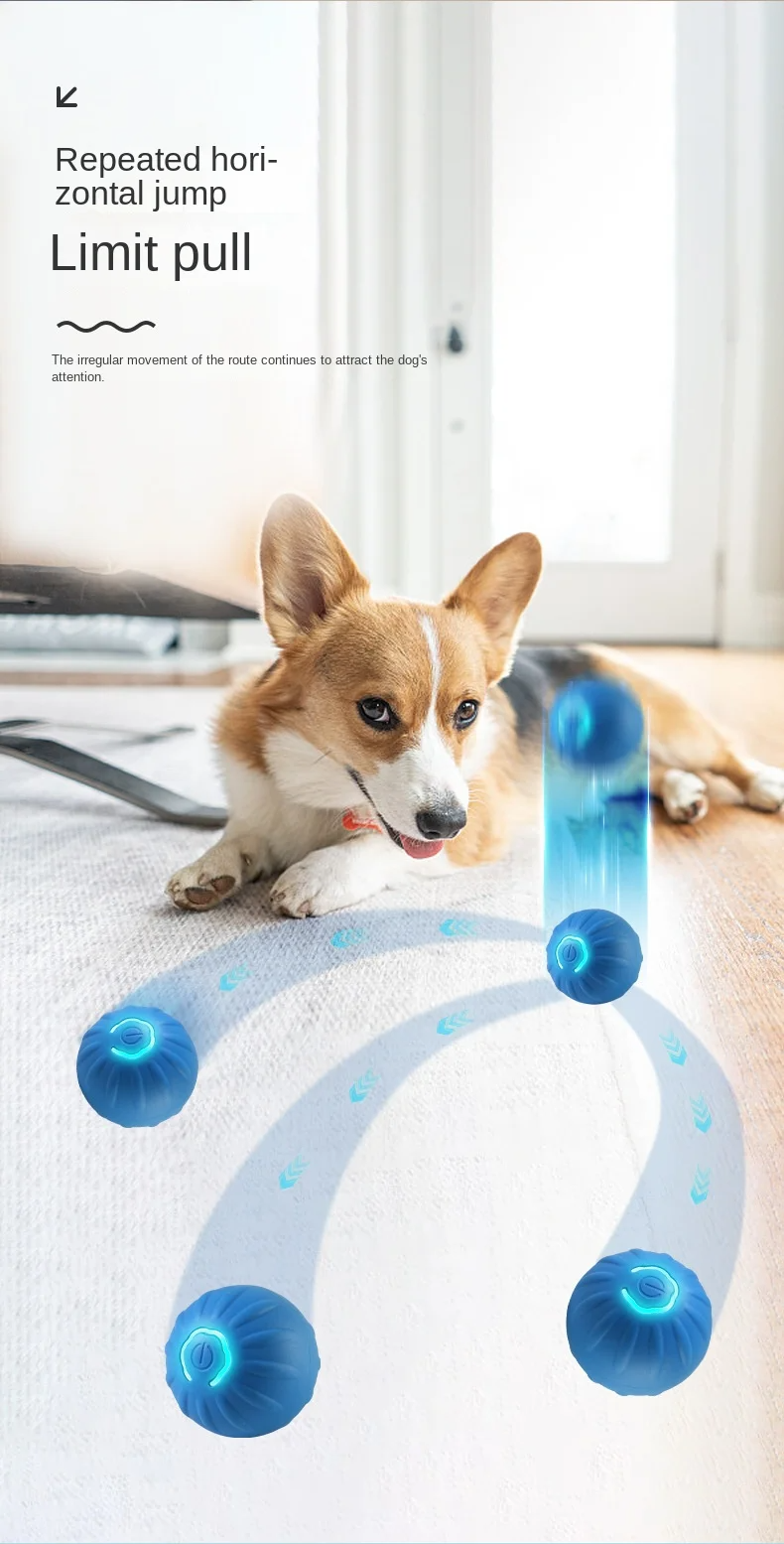 Interactive Dog Ball