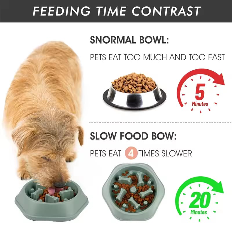 PetCareBaltic™ CalmEat Slow Feeder Bowl