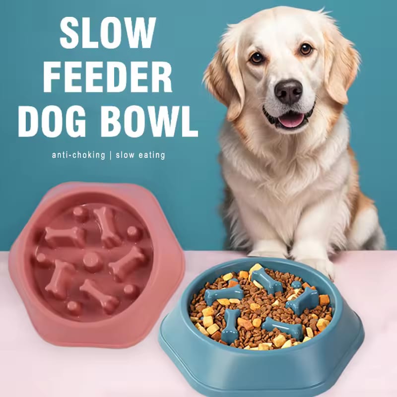 PetCareBaltic™ CalmEat Slow Feeder Bowl