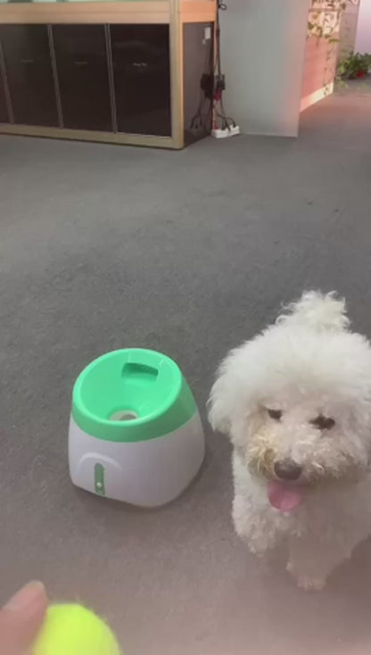 Automatic Pet Ball Launcher™